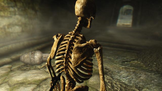 HD Скелети / Skeleton для Skyrim SE-AE