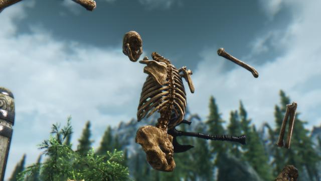 HD Скелети / Skeleton для Skyrim SE-AE