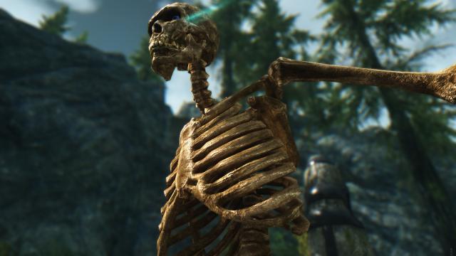 HD Скелети / Skeleton для Skyrim SE-AE