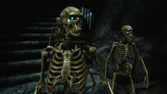 HD Скелети / Skeleton для Skyrim SE-AE