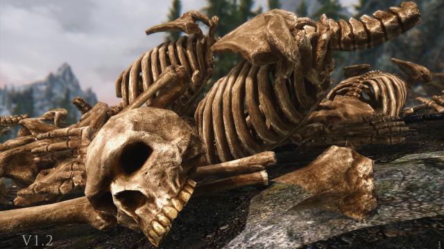 HD Скелети / Skeleton для Skyrim SE-AE