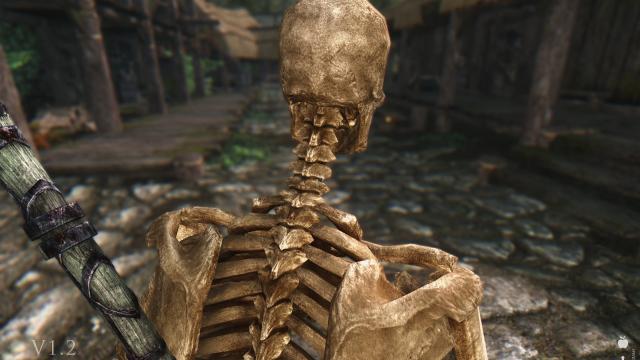 HD Скелети / Skeleton для Skyrim SE-AE