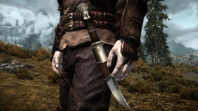 Кинжал гільдії злодіїв / Thieves Guild Dagger SE для Skyrim SE-AE