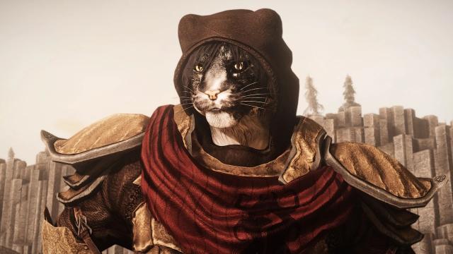 Bone Cultist Armor для Skyrim SE-AE
