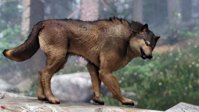 Волки Скайрима / Wolves of Skyrim для Skyrim SE-AE