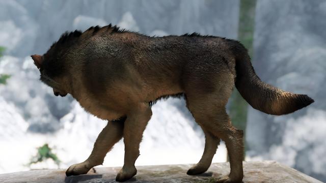 Волки Скайрима / Wolves of Skyrim для Skyrim SE-AE