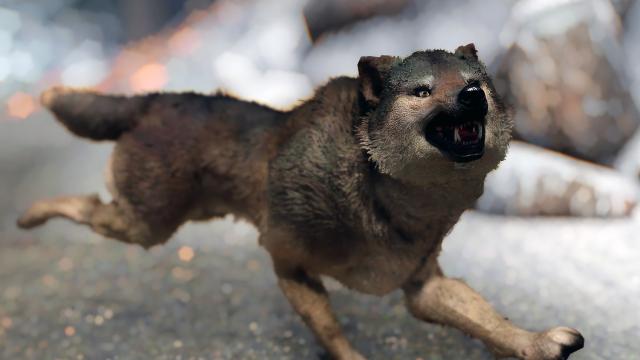 Волки Скайрима / Wolves of Skyrim для Skyrim SE-AE