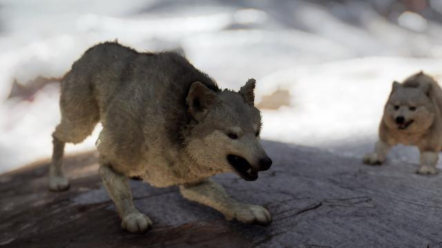 Волки Скайрима / Wolves of Skyrim для Skyrim SE-AE
