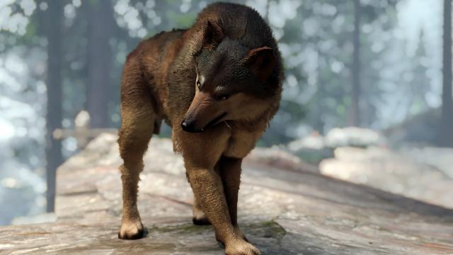 Волки Скайрима / Wolves of Skyrim для Skyrim SE-AE