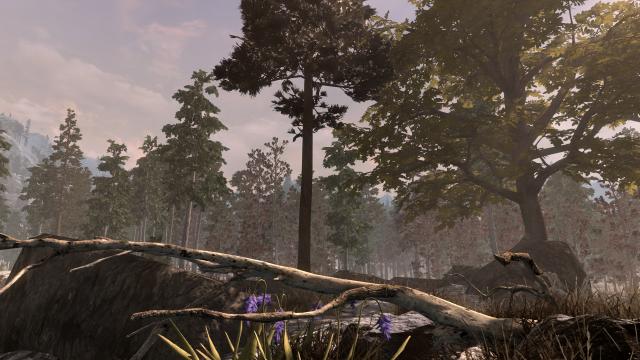 3D Дерева та рослини / Skyrim 3D Trees and Plants для Skyrim SE-AE