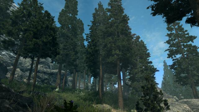 3D Дерева та рослини / Skyrim 3D Trees and Plants для Skyrim SE-AE