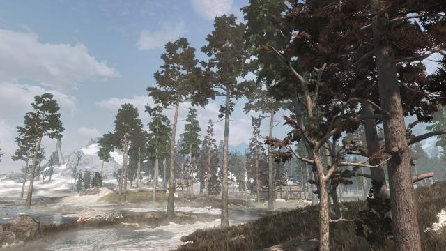 3D Дерева та рослини / Skyrim 3D Trees and Plants для Skyrim SE-AE