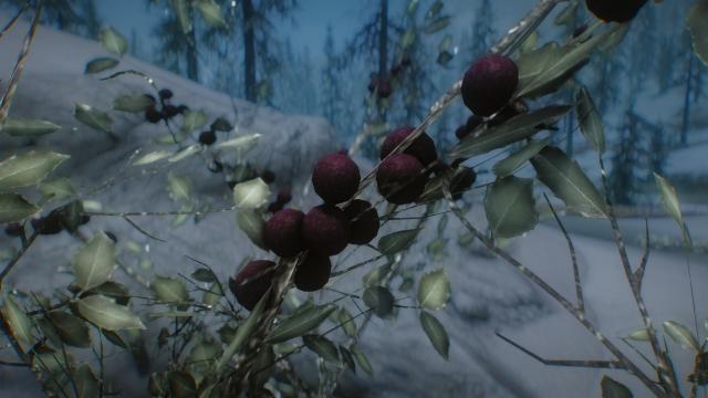 3D Snowberries - 3D Снігові ягоди для Skyrim SE-AE