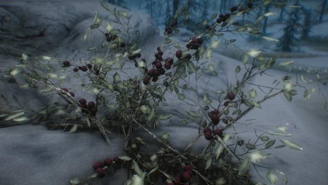 3D Snowberries - 3D Снігові ягоди для Skyrim SE-AE