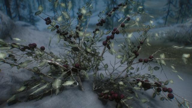 3D Snowberries - 3D Снігові ягоди для Skyrim SE-AE