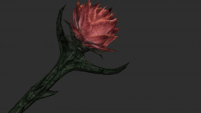 2к Роза Сангвина / 2K Sanguine Rose для Skyrim SE-AE