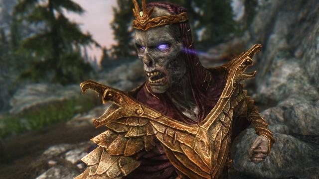 DRAGON PRIEST - for Skyrim SE-AE