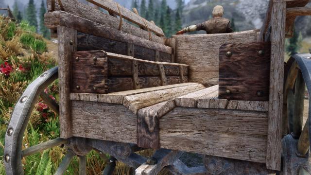WiZkiD Carriages - 24 for Skyrim SE-AE