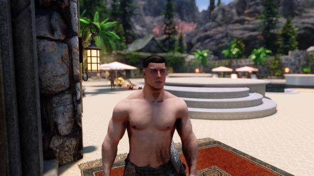 Спутник Митч / Mitch Follower SSE для Skyrim SE-AE