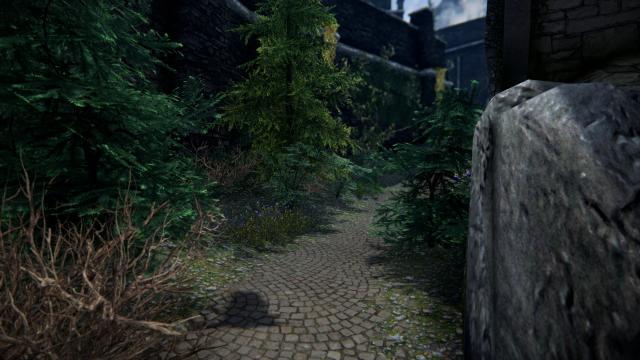 TB's Better Solitude Roads для Skyrim SE-AE