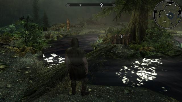 -  MiniMap for Skyrim SE-AE
