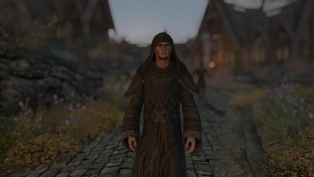 LS Playable Greybeard Robes