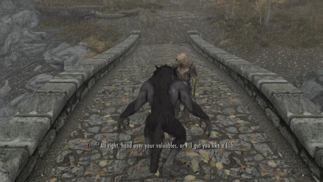 Werewolf Aggro Fix for Skyrim SE-AE