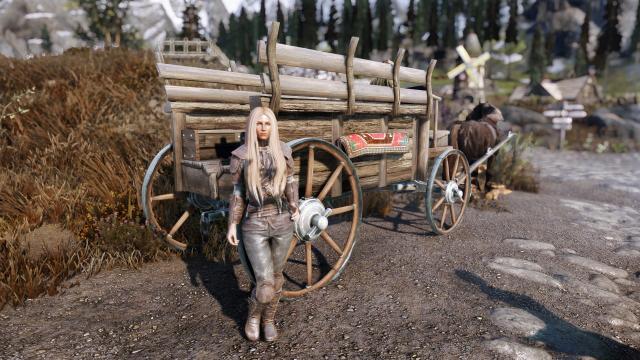 Красивые повозки / Carriages HD UHD для Skyrim SE-AE