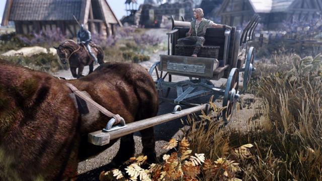 Красивые повозки / Carriages HD UHD для Skyrim SE-AE