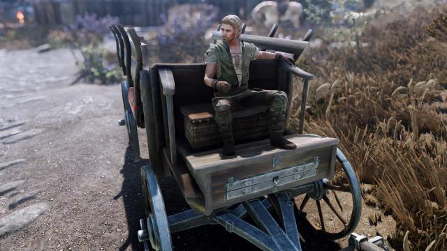 Красивые повозки / Carriages HD UHD для Skyrim SE-AE