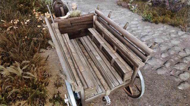 Красивые повозки / Carriages HD UHD для Skyrim SE-AE