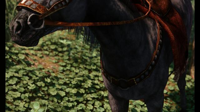 Shadowmere Rework for Skyrim SE-AE
