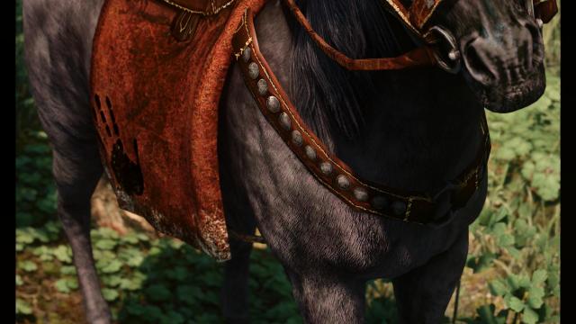 Shadowmere Rework for Skyrim SE-AE
