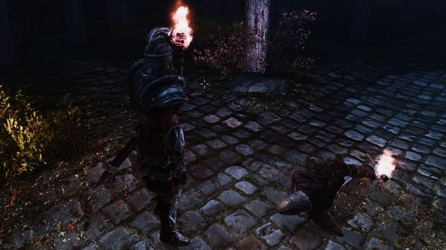 Torch Cremation SE
