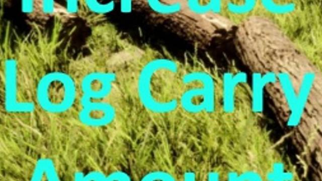 LogCarryAmount