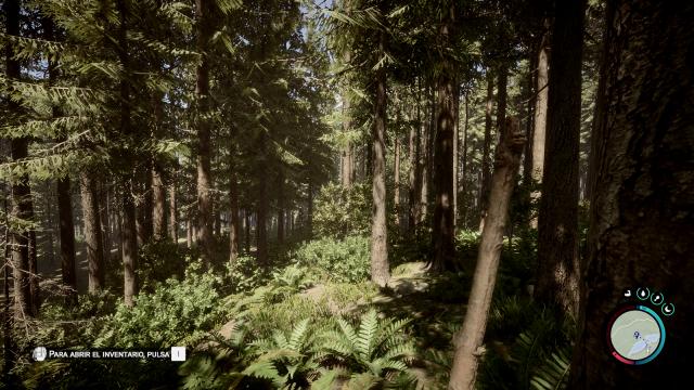 Natural Detailed Reshade