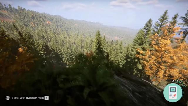 NoFallDamage