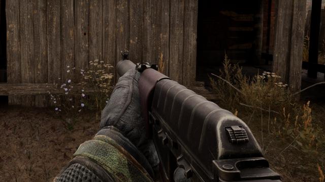 Plum AS Lavina для Stalker 2