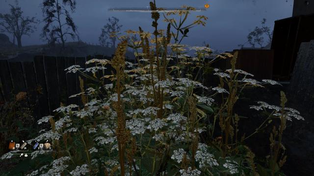 Poor mans Stalker 2