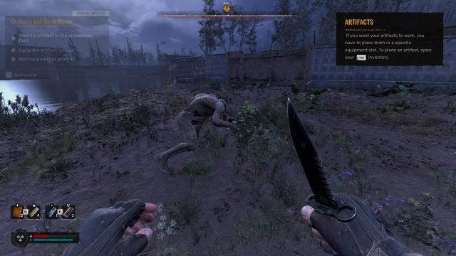 No Hide and Seek