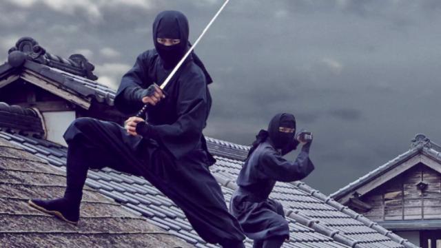 NinjaGear