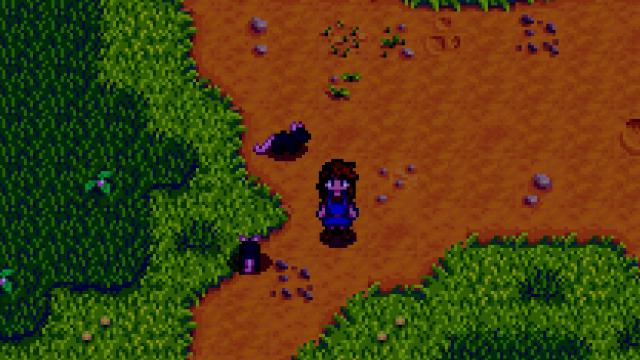 Дикие животные / SH's Wild Animals для Stardew Valley