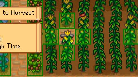 Data Layers для Stardew Valley
