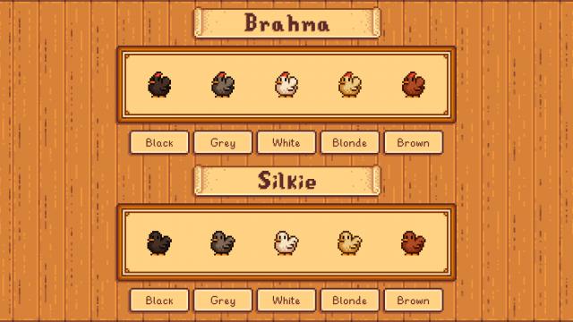 Elle&rsquo;s New Coop Animals