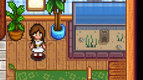 Paul the Optometrist - a New NPC для Stardew Valley