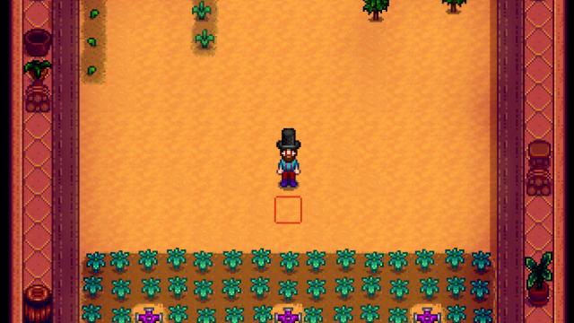 15x15 Greenhouse -