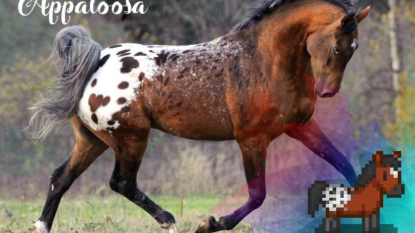 Better Horses -