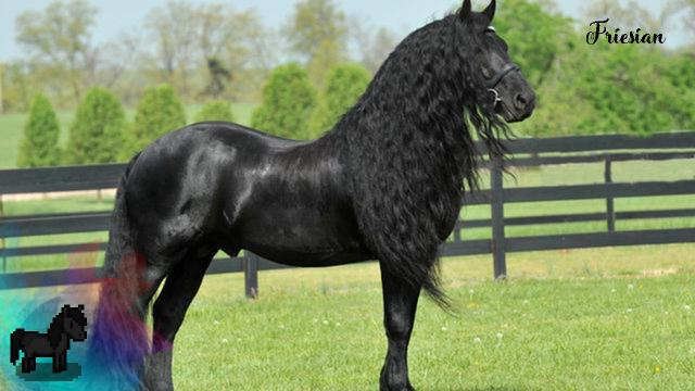 Better Horses - for Stardew Valley