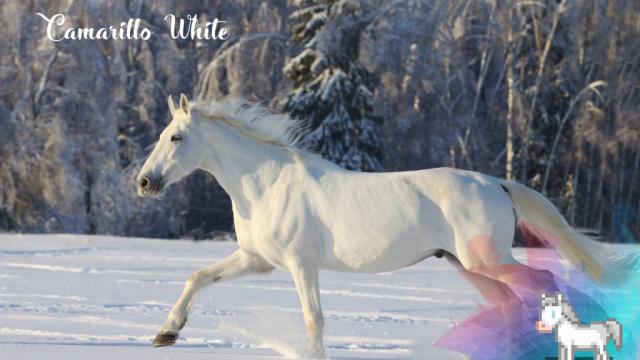 Better Horses - for Stardew Valley