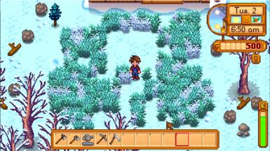Winter Grass